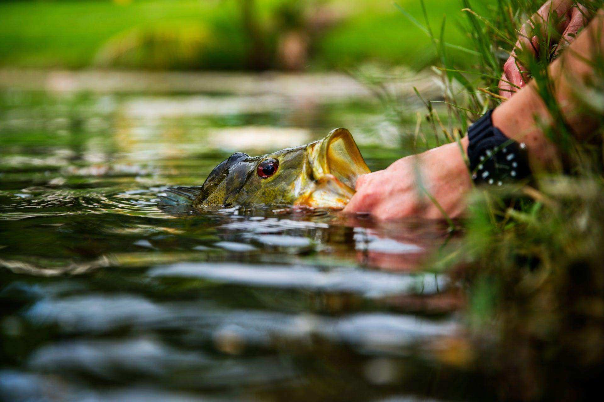 Flashtail Bass Popper 6 Flies Hook Size 6 - Chartreuse Bass Fly Fishing Bug Wide Gape Bass Hooks With Weed Guard - Skoutley Outdoors LLC