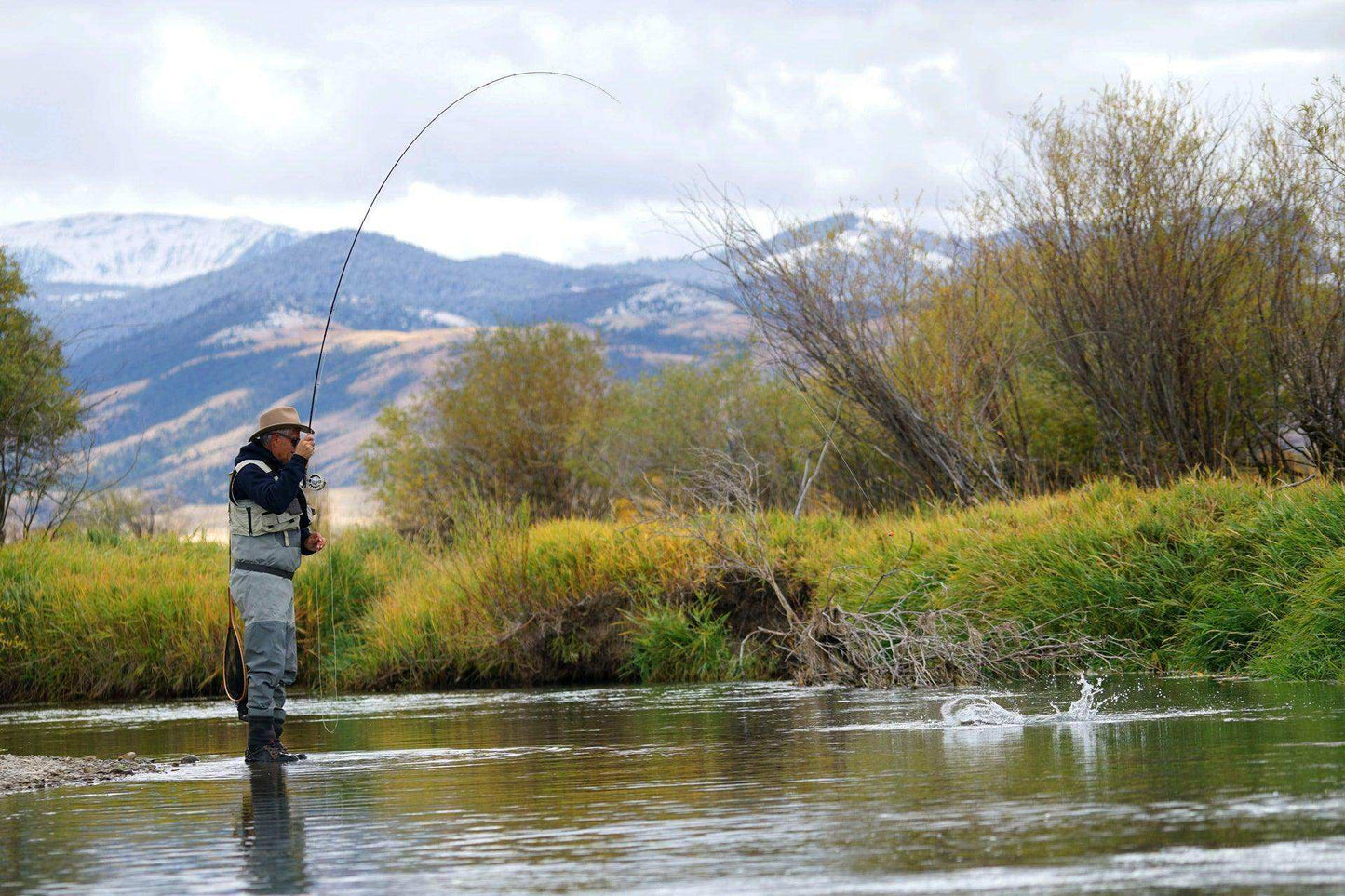 3 Pack Kaufmann's Royal Crystal Stimulator Rubber Legs Dry Fly - Hook Size 14 - Skoutley Outdoors LLC