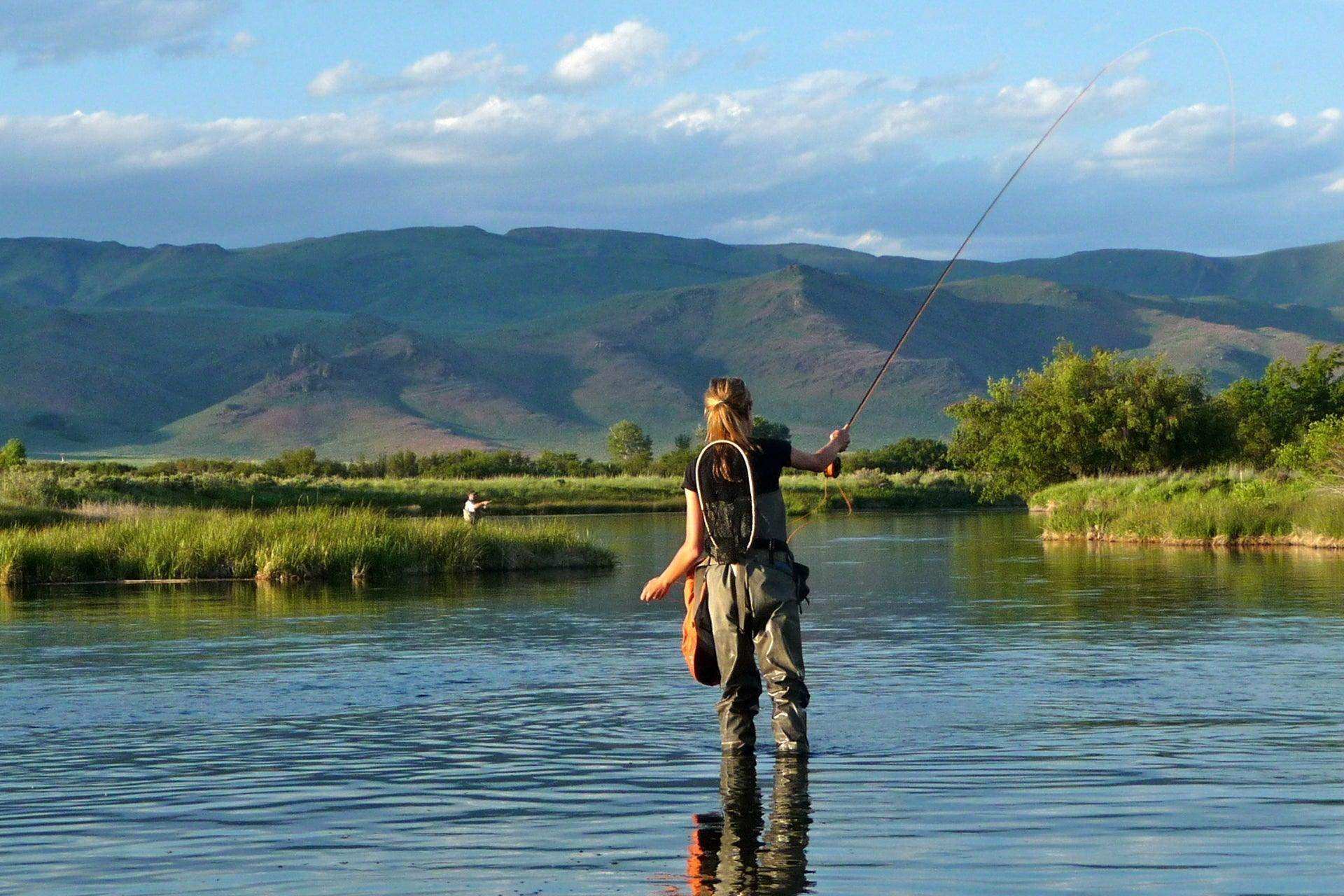 Adams Female Classic Dry Fly - 6 Flies - Hook Size 16 - Skoutley Outdoors LLC