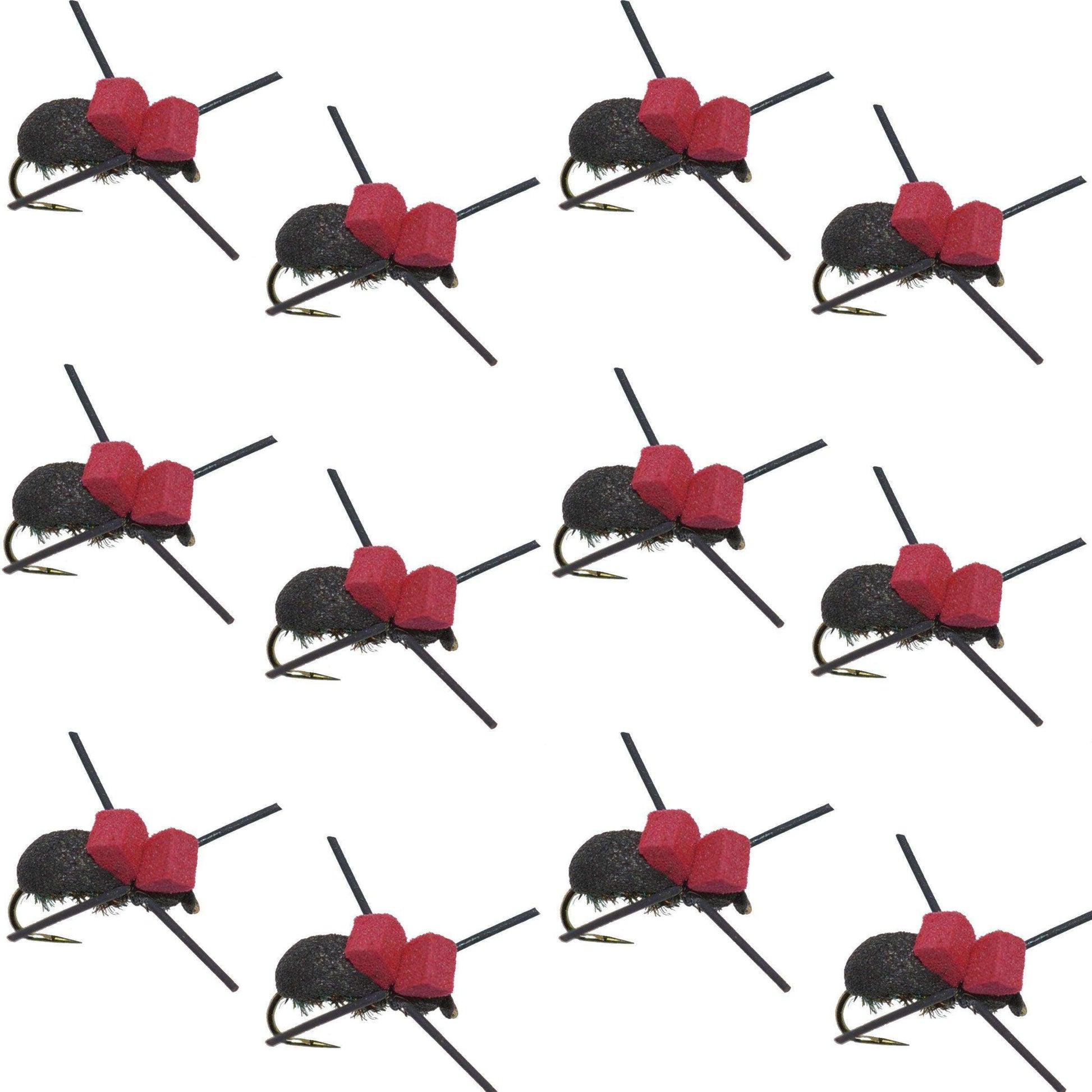 Red Top Black Foam Beetle Terrestrial Trout Dry Fly Fishing Flies - 1 Dozen Flies Size 14 - Skoutley Outdoors LLC