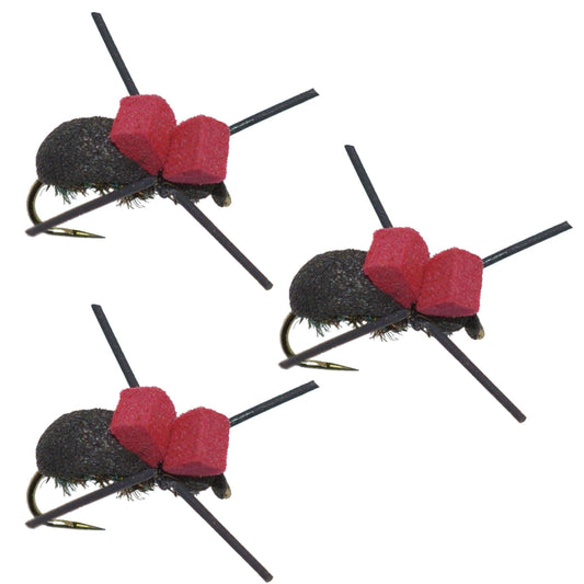 3 Pack Red Top Black Foam Beetle Terrestrial Trout Dry Fly Fishing Flies - Hook Size 14 - Skoutley Outdoors LLC