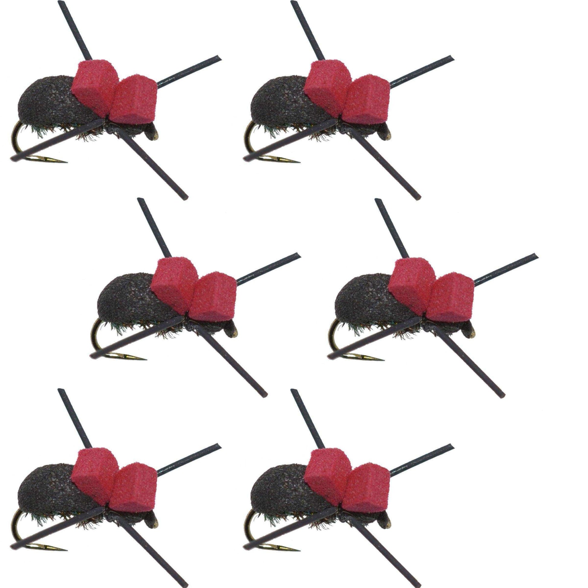 Barbless Red Top Black Foam Beetle Terrestrial Trout Dry Fly Fishing Flies - 6 Flies Size 14 - Skoutley Outdoors LLC