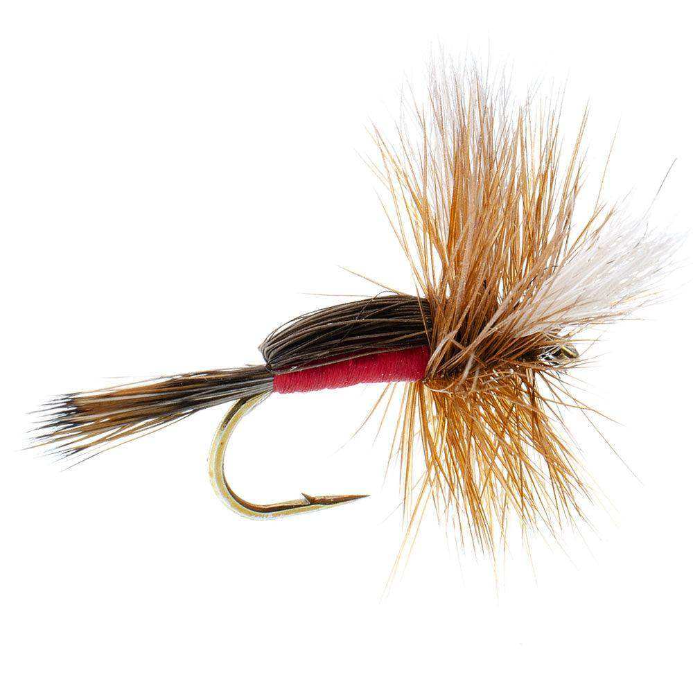 Royal Humpy Classic Hair Wing Dry Fly - 6 Flies Hook Size 16 - Skoutley Outdoors LLC