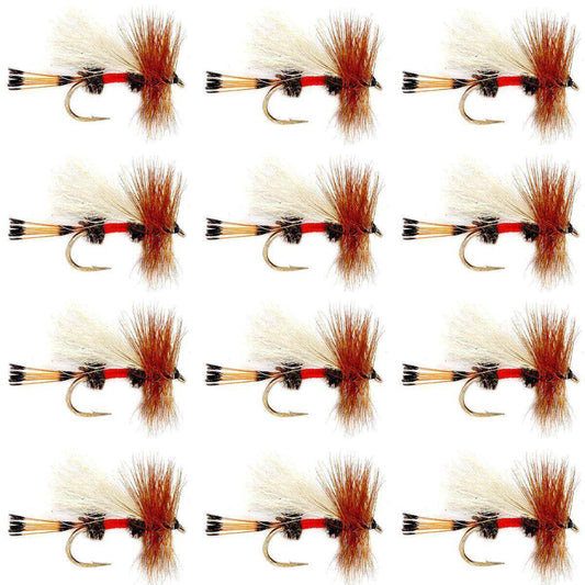 Royal Trude Classic Hair Wing Dry Fly - 1 Dozen Flies Hook Size 10 - Skoutley Outdoors LLC