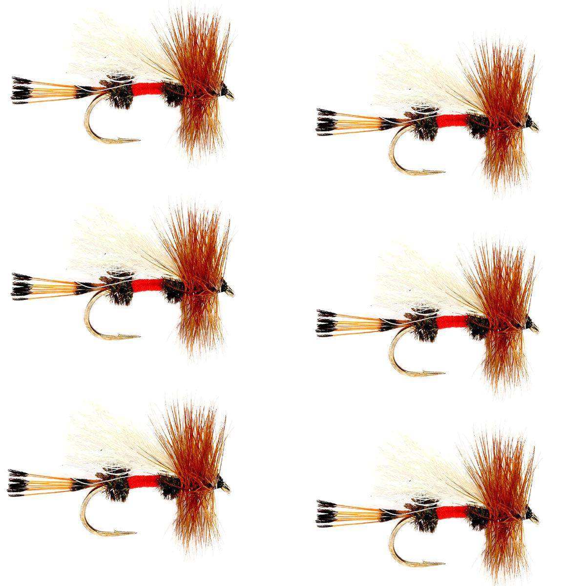 Royal Trude Classic Hair Wing Dry Fly - 6 Flies Hook Size 12 - Skoutley Outdoors LLC