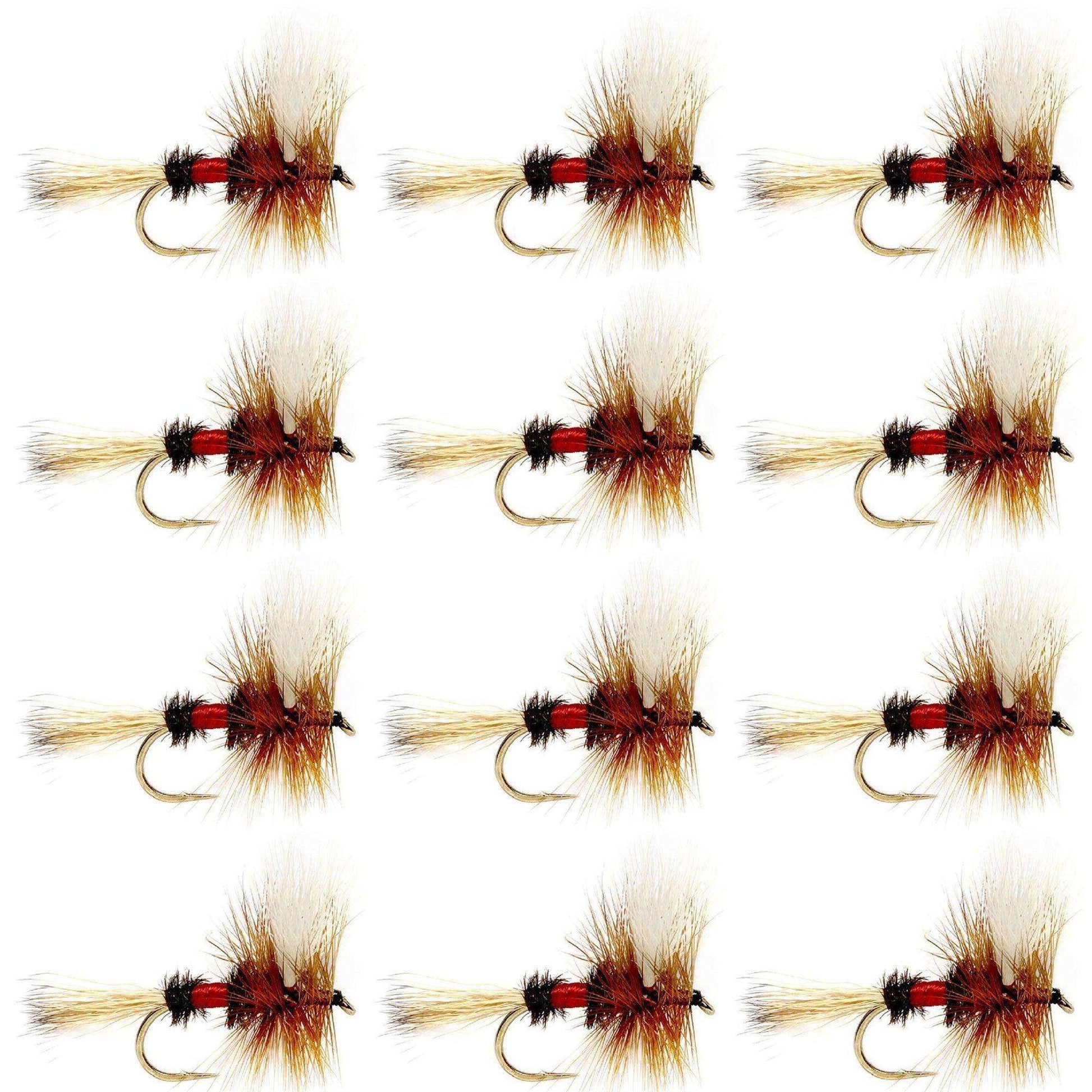 Royal Wulff Classic Trout Dry Fly Fishing Flies - Set of 12 Flies Size 8 - One Dozen - Skoutley Outdoors LLC