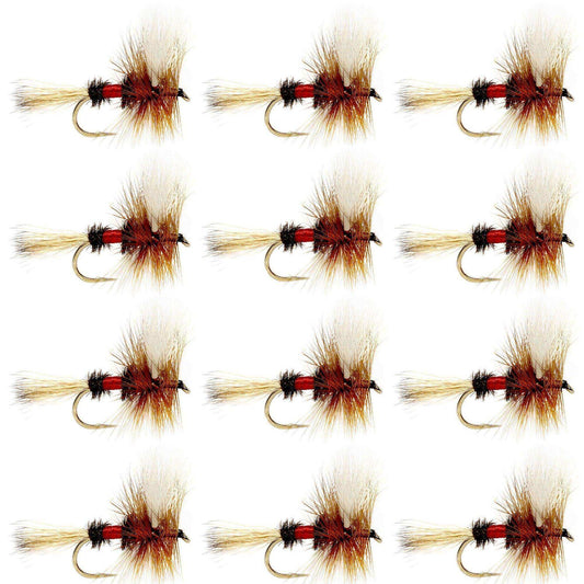 Royal Wulff Classic Trout Dry Fly Fishing Flies - Set of 12 Flies Size 10 - One Dozen - Skoutley Outdoors LLC