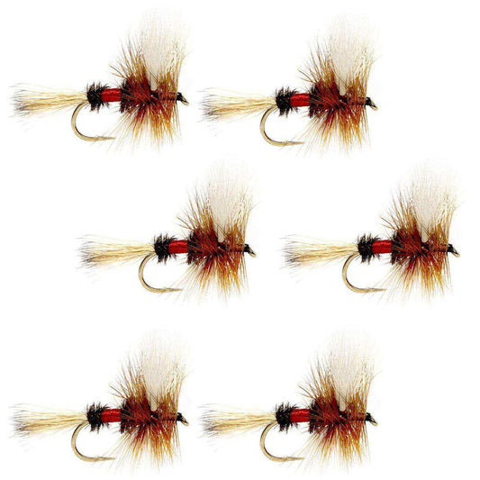 Royal Wulff Classic Trout Dry Fly Fishing Flies - Set of 6 Flies Size 10 - Skoutley Outdoors LLC