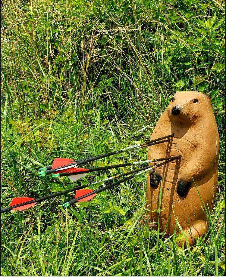 Real Wild 3D Standing Groundhog Archery Target with EZ Pull Foam - Skoutley Outdoors LLC