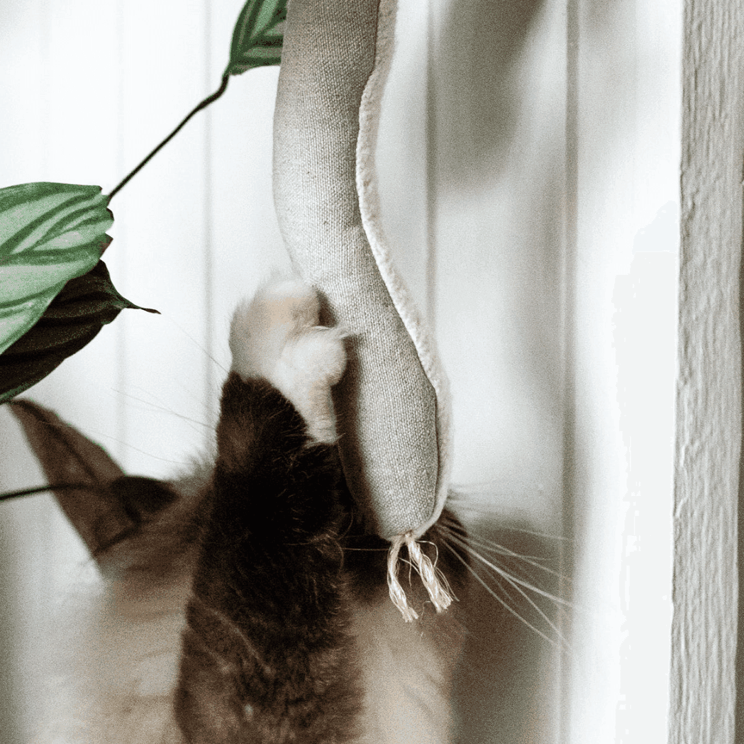 Snake Toy for Cats in Cotton with Buckwheat Crinkles and Organic Catnip - Skoutley Outdoors LLC