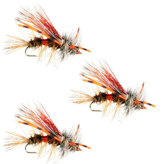 3 Pack Kaufmann's Royal Crystal Stimulator Rubber Legs Dry Fly - Hook Size 12 - Skoutley Outdoors LLC