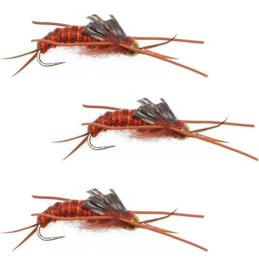 3 Pack Barbless Gold Bead Kaufmann's Brown Stone Fly with Rubber Legs - Stonefly Wet Fly - Hook Size 8 - Skoutley Outdoors LLC