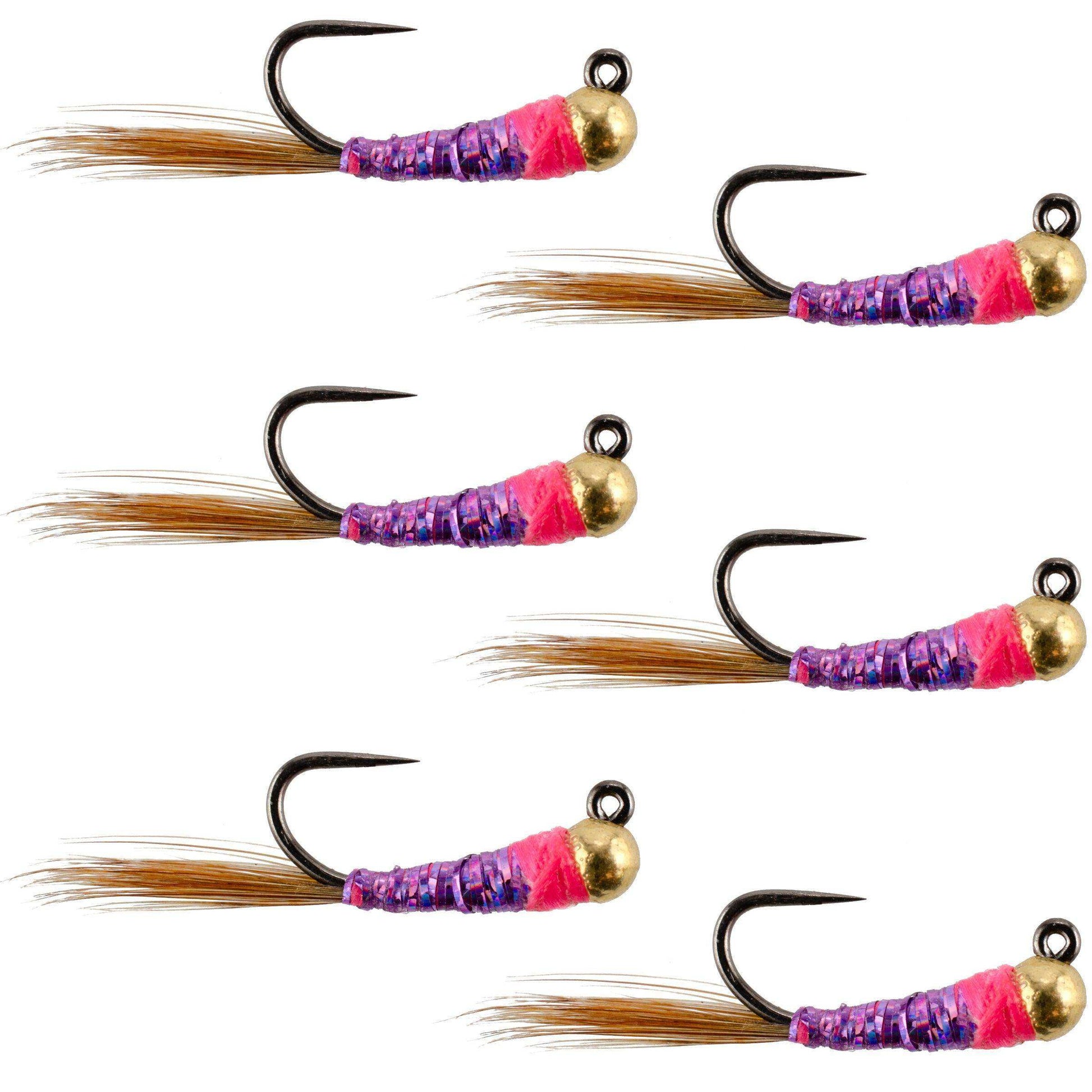 Tungsten Bead Hot Spot Purple Perdigon Tactical Jig Spanish Czech Euro Nymph Fly - 6 Flies Size 16 - Skoutley Outdoors LLC