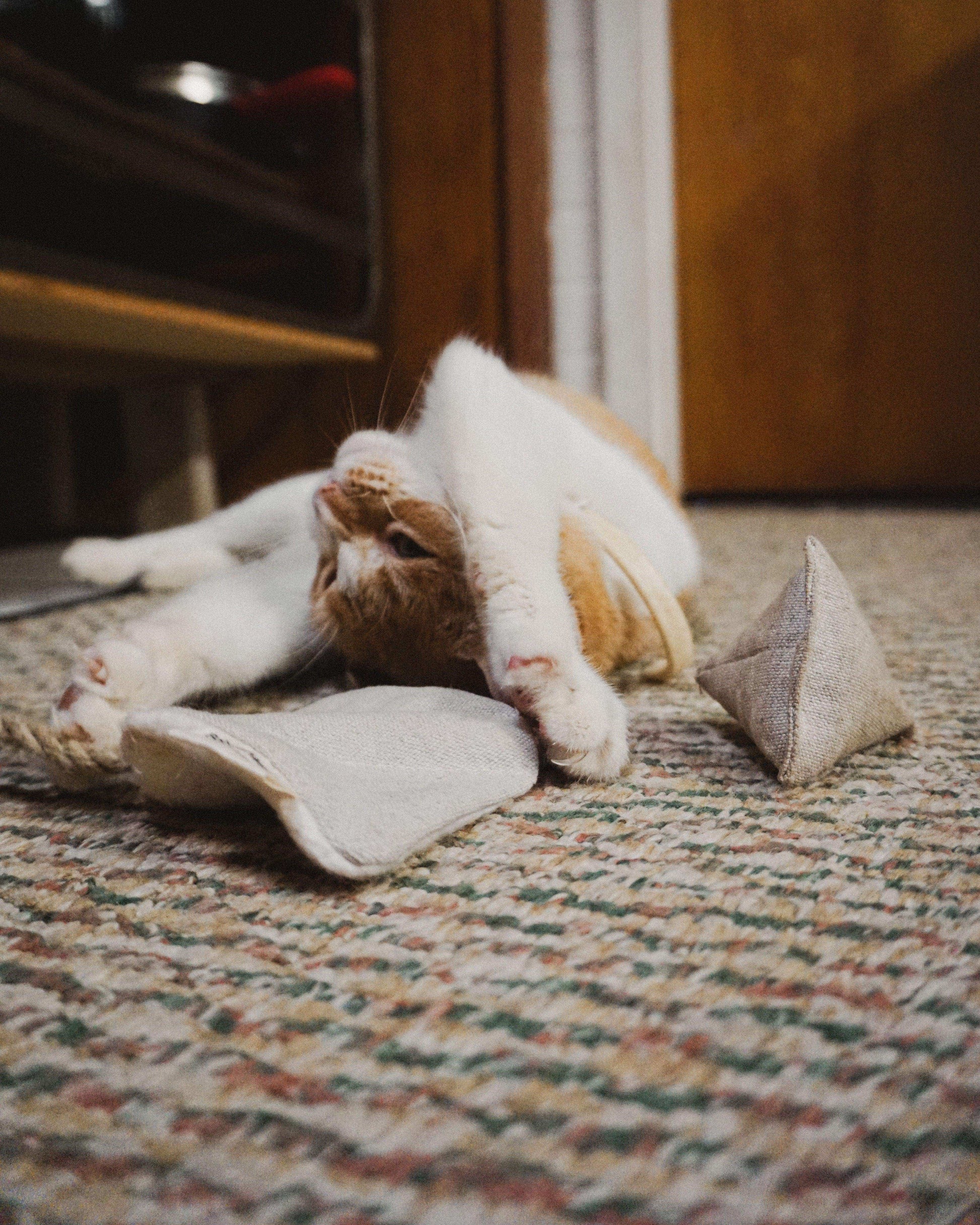 Crinkly Cat Toy Bundle in Natural Cotton and Hemp with Organic Catnip - Skoutley Outdoors LLC