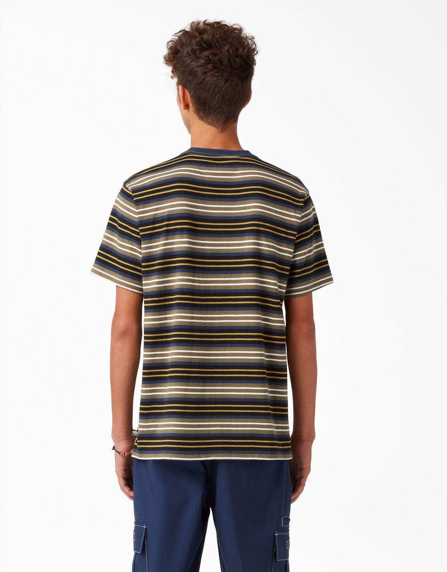 Dickies Skateboarding Stripe Graphic T-Shirt - Black/Moss Stripe - Skoutley Outdoors LLC