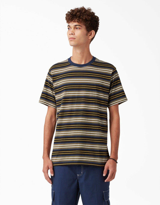 Dickies Skateboarding Stripe Graphic T-Shirt - Black/Moss Stripe - Skoutley Outdoors LLC