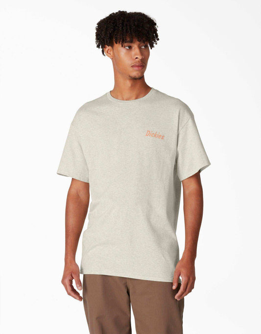 Dickies Skateboarding Split Graphic T-Shirt - Oatmeal Heather - Skoutley Outdoors LLC