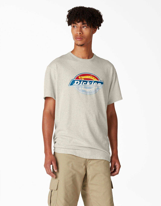 Dickies Skateboarding Break Out Graphic T-Shirt - Oatmeal Heather - Skoutley Outdoors LLC