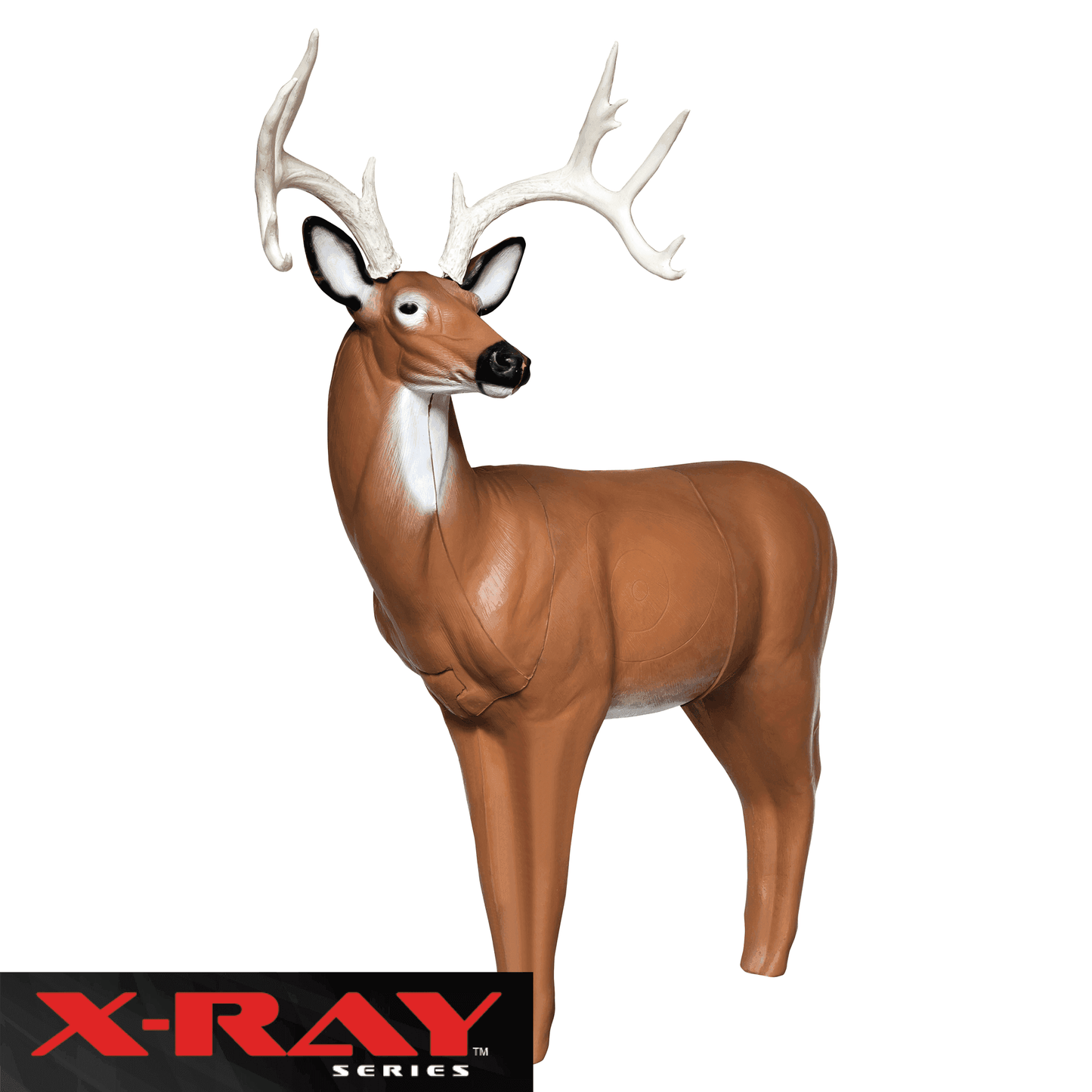 X-Ray Series Big Buck - Skoutley Outdoors LLC