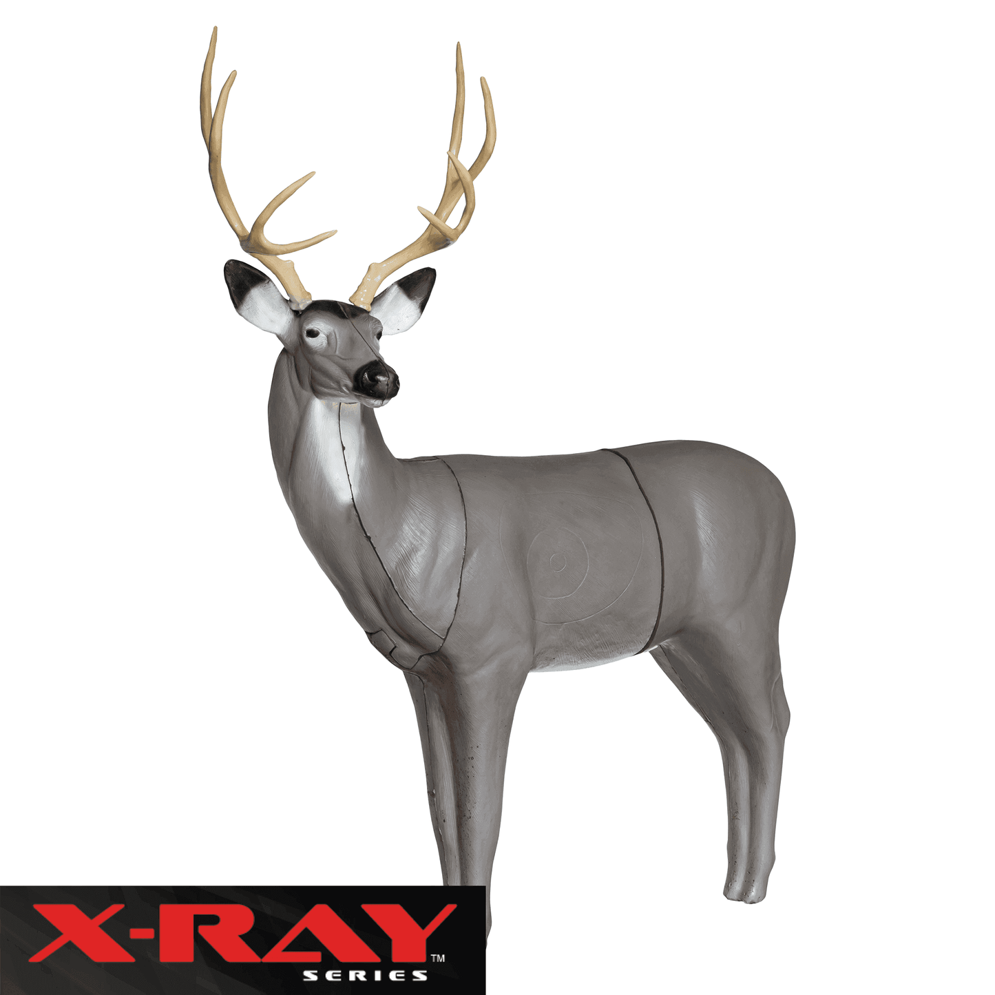 X-Ray Series Mule Deer - Skoutley Outdoors LLC