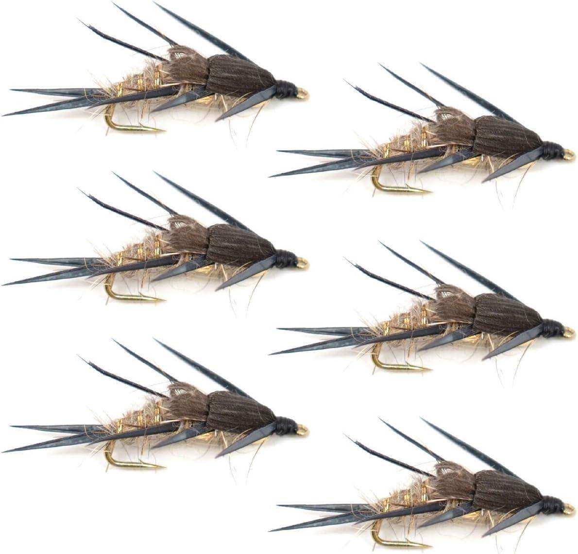 Double Bead Gold Ribbed Hare's Ear Nymph Fly Fishing Flies - Trout and Bass Wet Fly - 6 Flies Hook Size 8 - Skoutley Outdoors LLC