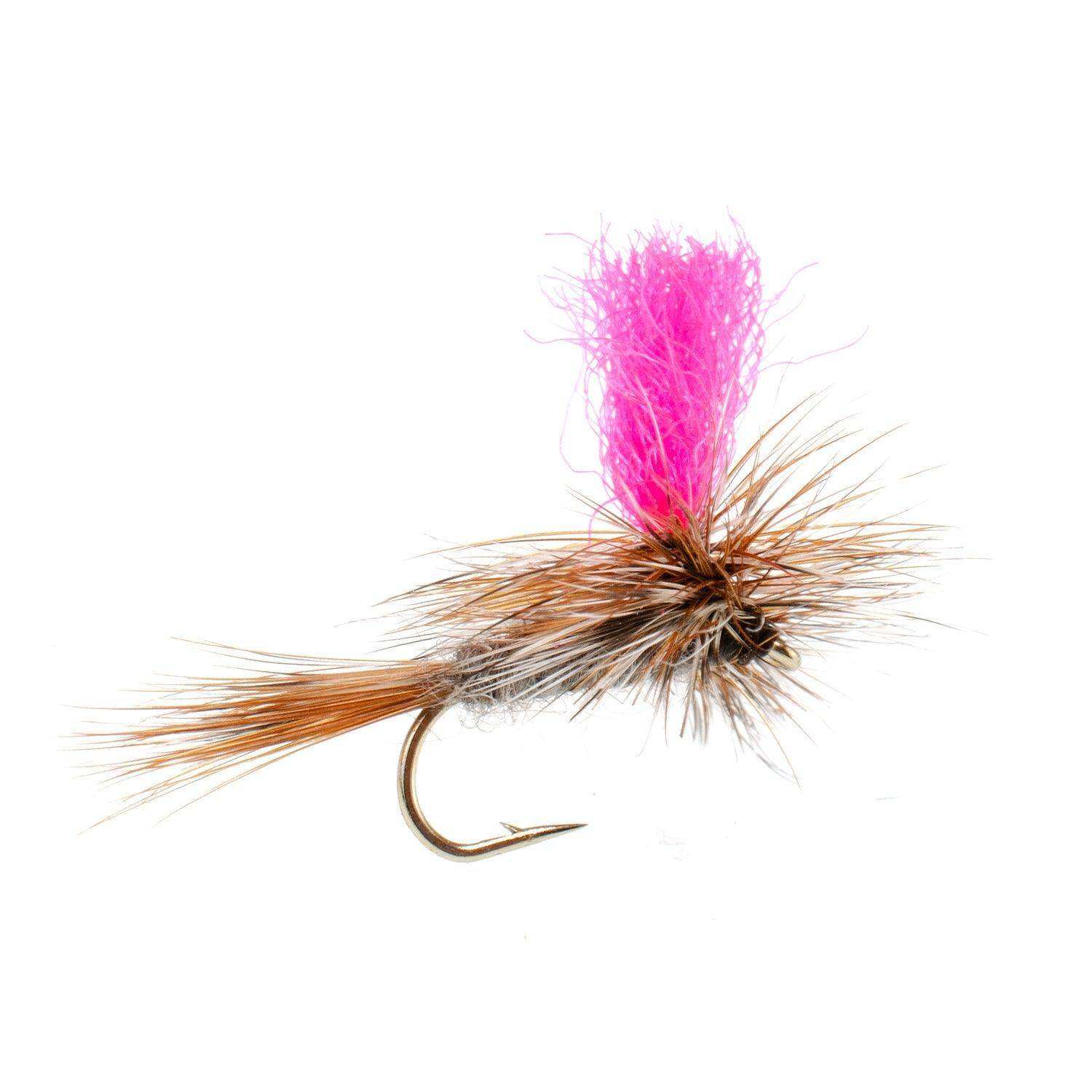 Eastern Trout Fly Assortment - 24 Essential Dry and Nymph Fly Fishing Flies Collection - Trout Flies with Gift Fly Box - Skoutley Outdoors LLC