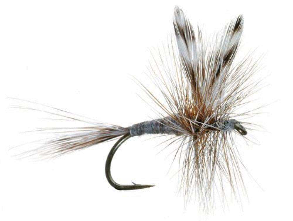 The Fly Fishing Place Basics Collection - Classic Dry Fly Assortment - 10 Dry Fishing Flies - 5 Patterns - Hook Sizes 12, 14, 16 - Skoutley Outdoors LLC