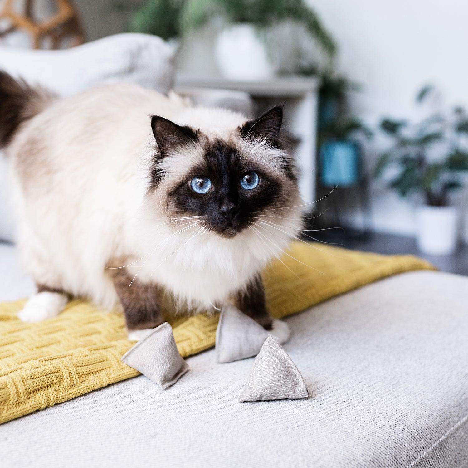 Catnip Pyramid Toy in Cotton and Hemp with Buckwheat for Crinkles - Skoutley Outdoors LLC