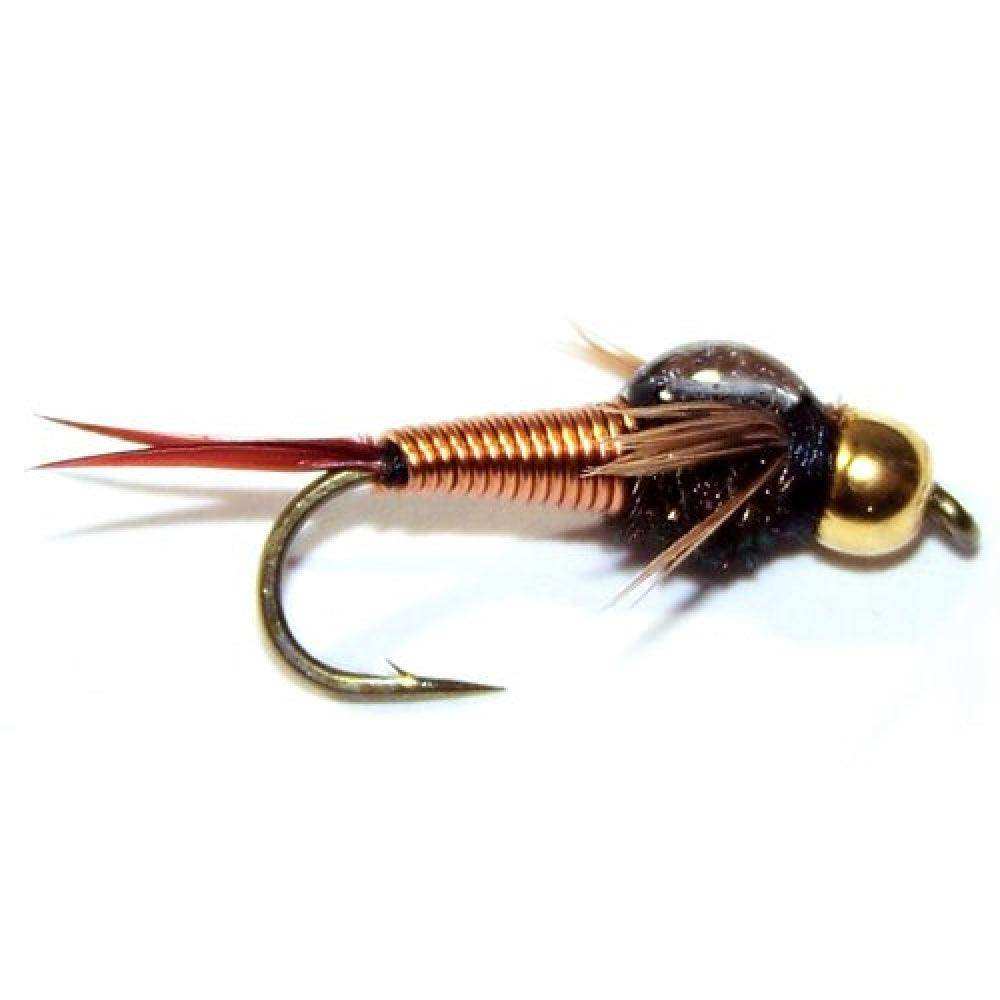 The Fly Fishing Place Basics Collection - Bead Head Nymph Assortment - 10 Wet Flies - 5 Patterns - Hook Sizes 12, 14, 16 - Skoutley Outdoors LLC