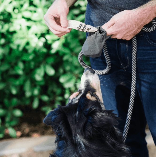 Cloth Dog Poop Bag Holder in Cotton Canvas - Skoutley Outdoors LLC