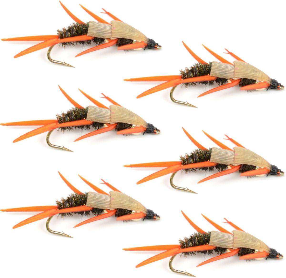 Double Bead Peacock Stonefly Nymph with Amber Biot Legs Fly Fishing Flies - Trout and Bass Wet Fly Pattern - 6 Flies Hook Size 12 - Skoutley Outdoors LLC