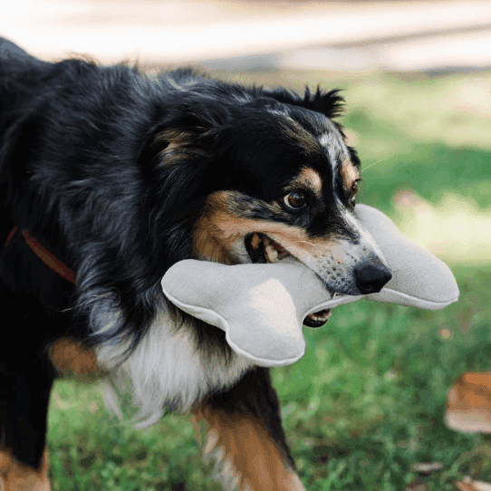 Plush Hemp Dog Bone Toy for Gentle Chewers | Soft & Squeaker Free - Skoutley Outdoors LLC