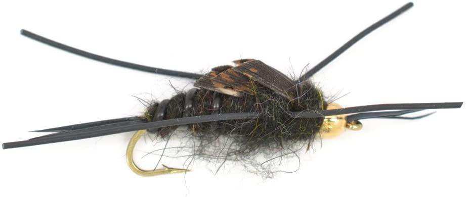 Basics Collection - Kaufmann's Stonefly Nymph Assortment - 10 Bead Head Rubber Legs Wet Flies - 5 Patterns - Hook Sizes 4, 6, 8, 10, and 12 - Skoutley Outdoors LLC