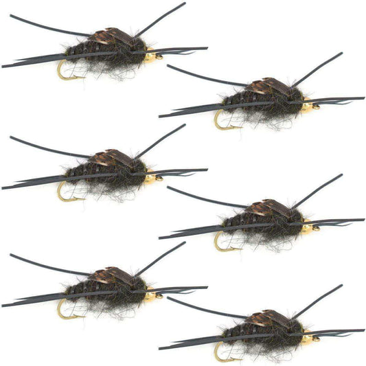 Gold Bead Kaufmann's Black Stone Fly with Rubber Legs - Stonefly Wet Fly - 6 Flies Hook Size 8 - Skoutley Outdoors LLC