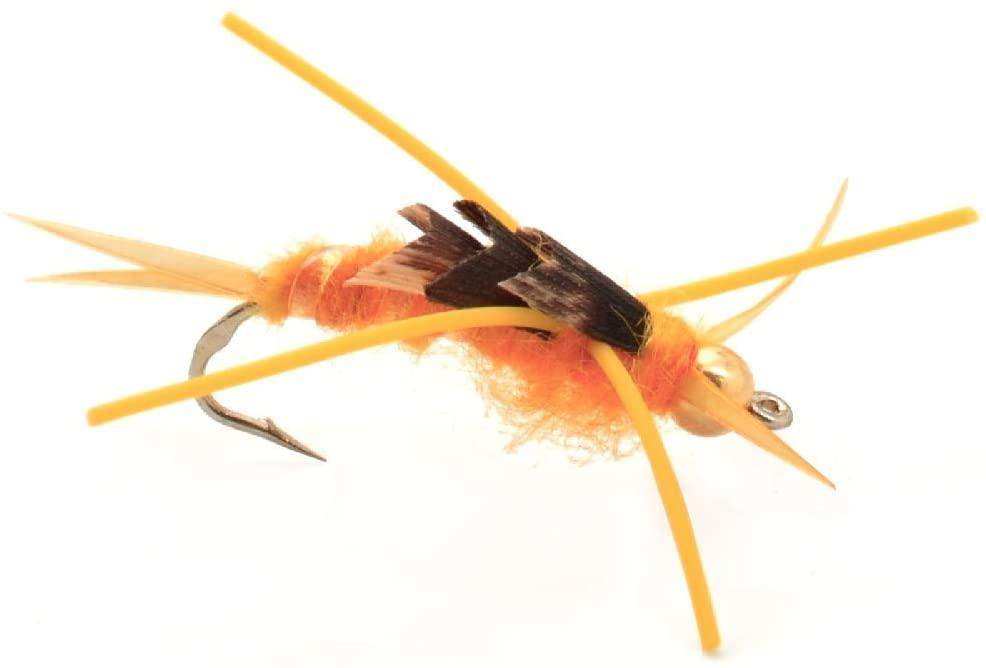 Basics Collection - Kaufmann's Tungsten Bead Stonefly Nymph Assortment - 10 Bead Head Rubber Legs Wet Flies - 5 Patterns - Hook Sizes 4, 6, 8, 10, and 12 - Skoutley Outdoors LLC