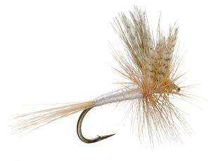 The Fly Fishing Place Basics Collection - Classic Dry Fly Assortment - 10 Dry Fishing Flies - 5 Patterns - Hook Sizes 12, 14, 16 - Skoutley Outdoors LLC