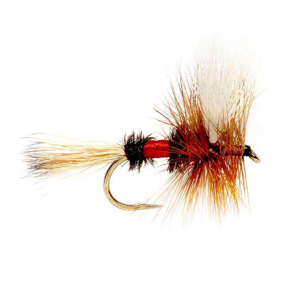 Royal Wulff Classic Trout Dry Fly Fishing Flies - Set of 12 Flies Size 14 - One Dozen - Skoutley Outdoors LLC