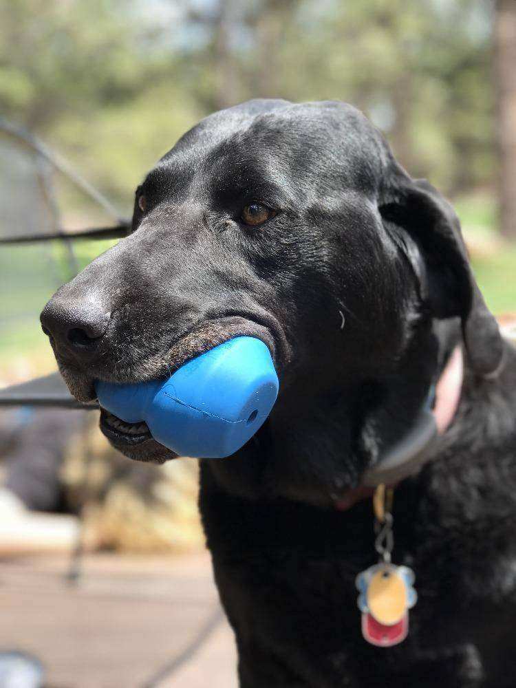 Double Trouble eDispenser Durable Rubber Chew Toy and Treat Dispenser - Skoutley Outdoors LLC