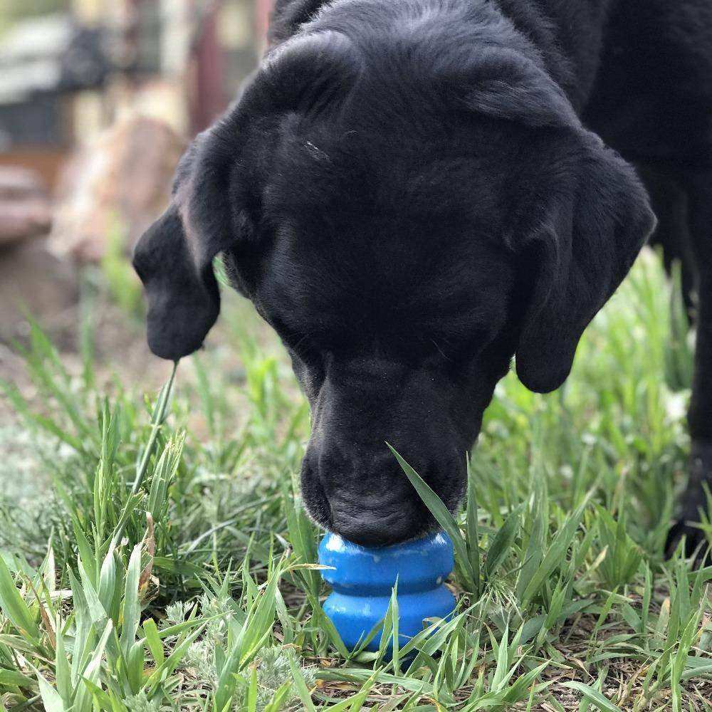 Double Trouble eDispenser Durable Rubber Chew Toy and Treat Dispenser - Skoutley Outdoors LLC