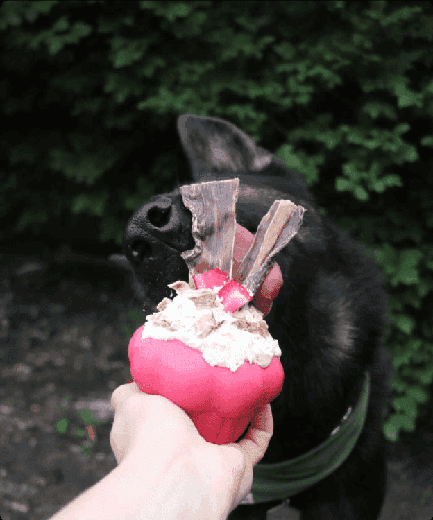 Cupcake eDispenser Durable Rubber Chew Toy & Treat Dispenser - Skoutley Outdoors LLC