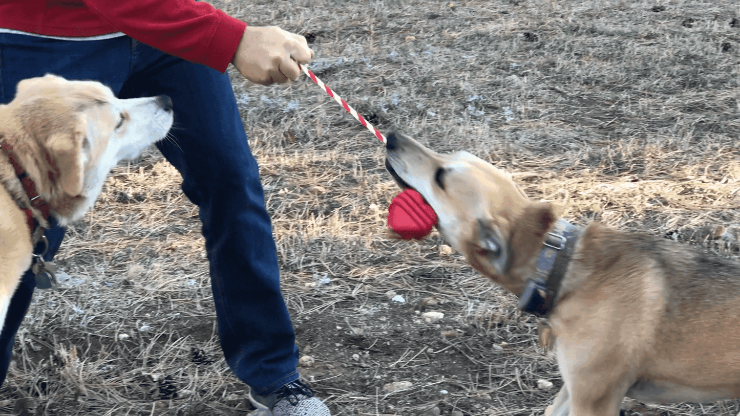 Large Rubber Heart on a String Toy - Skoutley Outdoors LLC