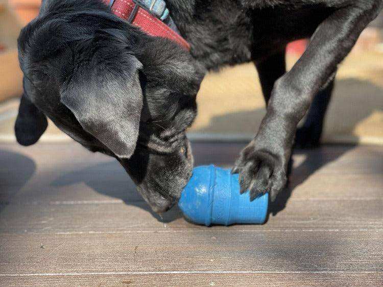 Ice Cream Cone Durable Rubber Chew Toy and Treat Dispenser - Skoutley Outdoors LLC