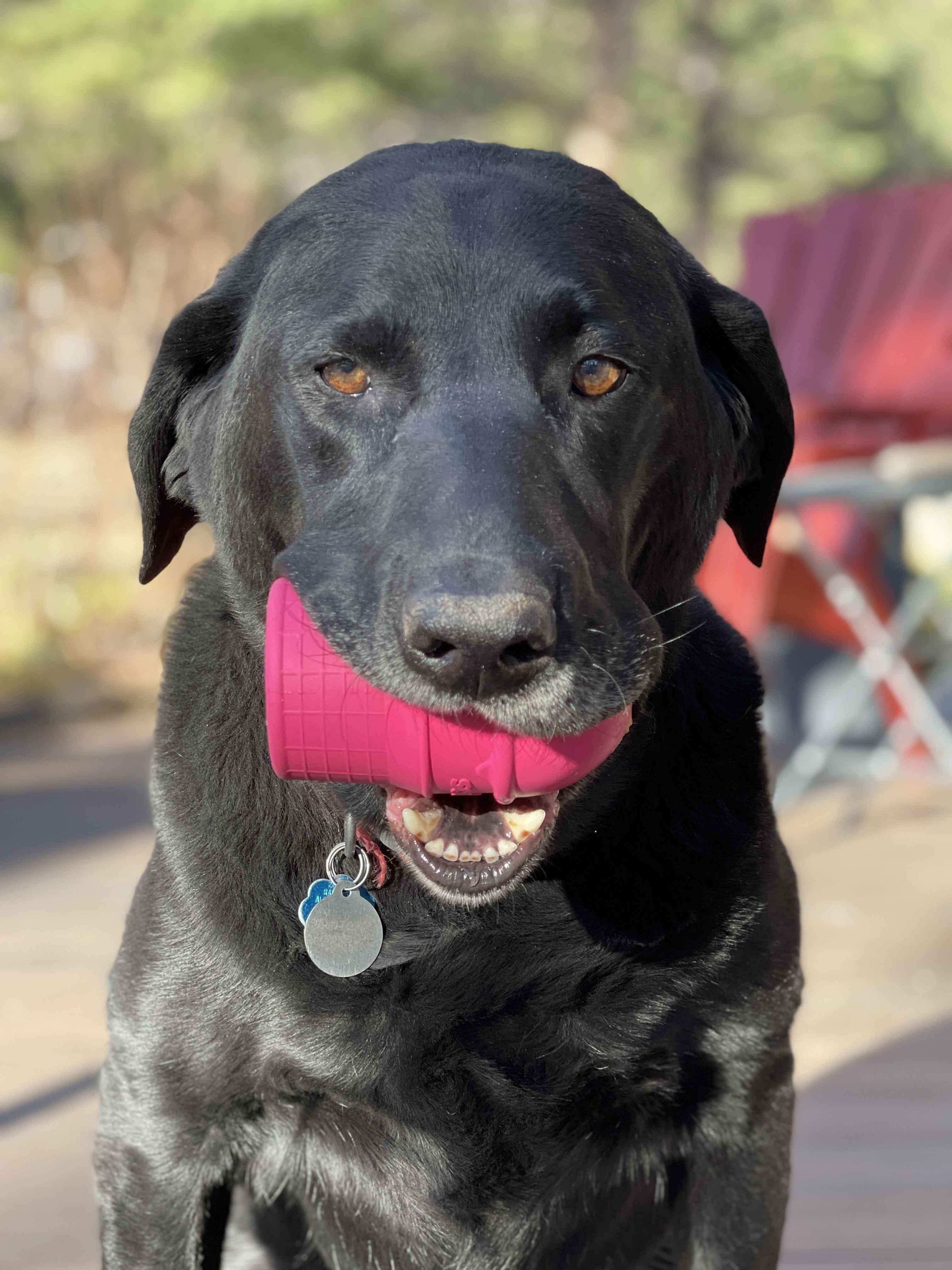 Ice Cream Cone Durable Rubber Chew Toy and Treat Dispenser - Skoutley Outdoors LLC