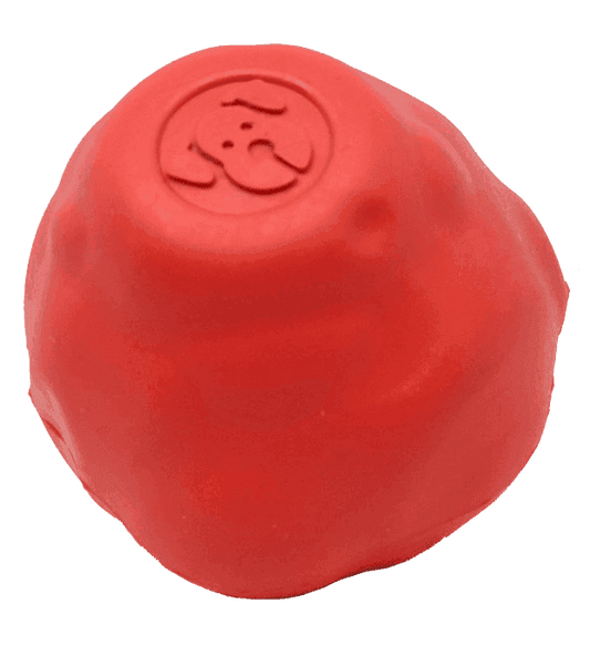 Asteroid Ultra Durable Rubber Chew Toy - Skoutley Outdoors LLC