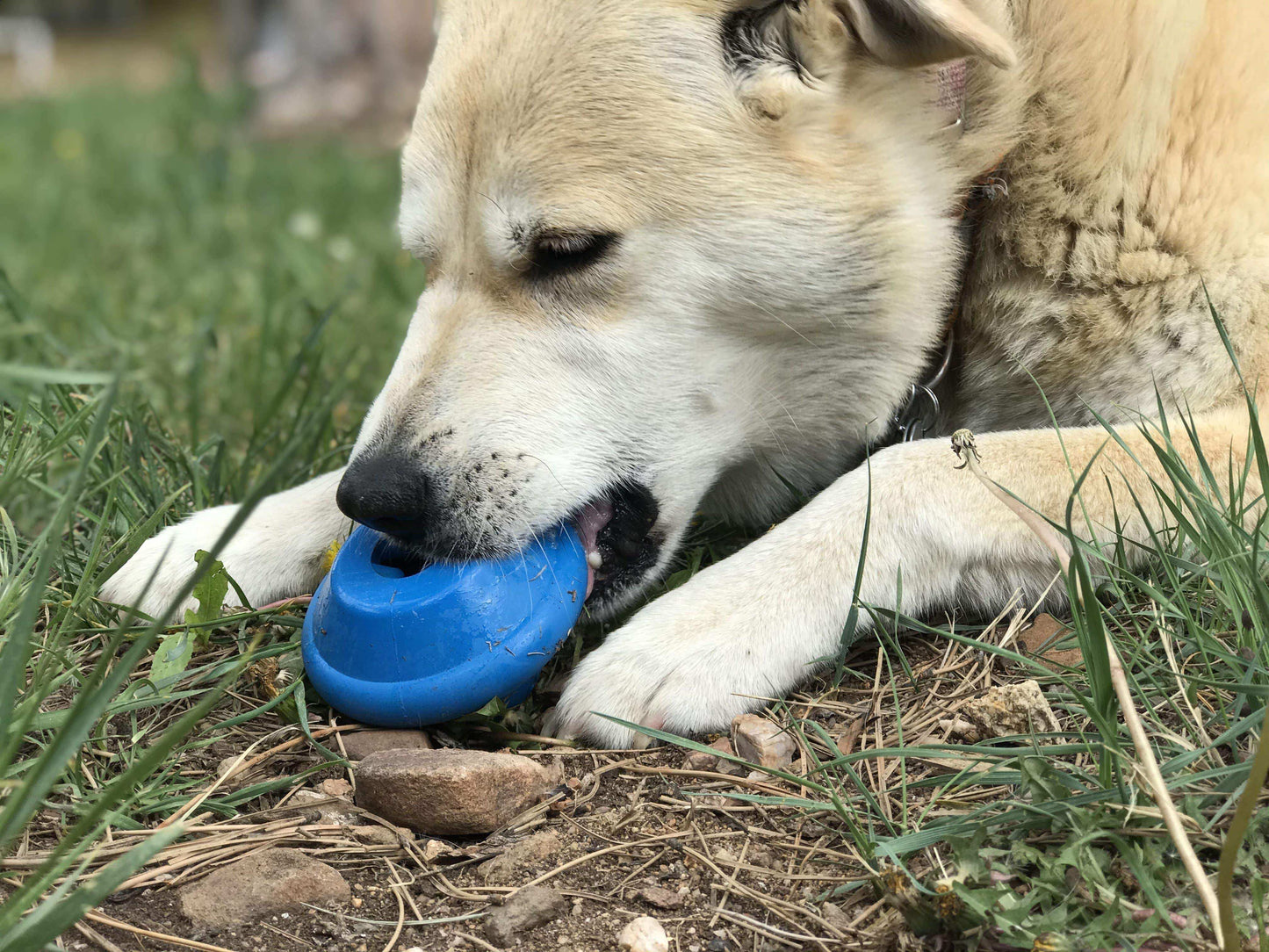 Flying Saucer eDispenser Durable Rubber Chew Toy & Treat Dispenser - Skoutley Outdoors LLC