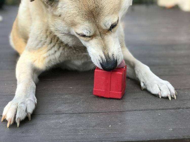 Gift Box eDispenser Durable Rubber Chew Toy & Treat Dispenser - Skoutley Outdoors LLC