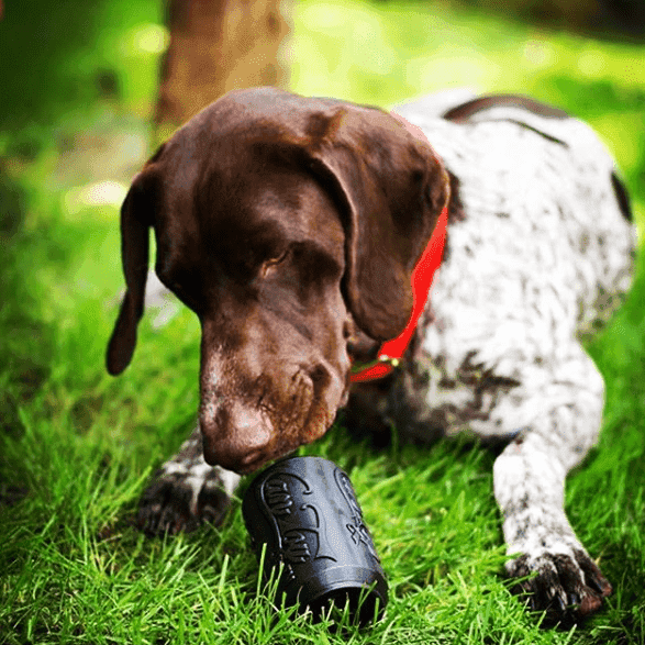 SP Magnum Can Toy eDispenser Ultra Durable Rubber Chew Toy & Treat Dispenser - Black - Skoutley Outdoors LLC