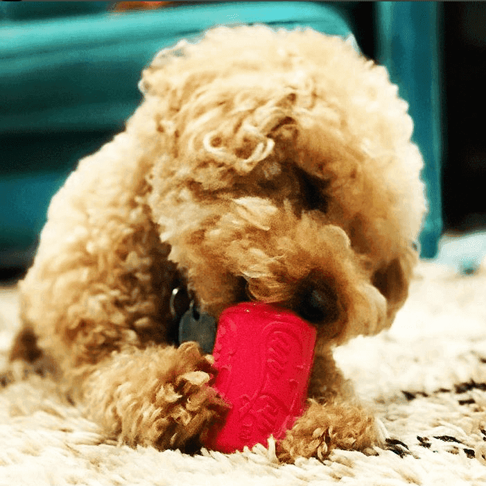 Puppy Can Toy Durable Rubber Chew Toy & Treat Dispenser For Teething Pups - Skoutley Outdoors LLC