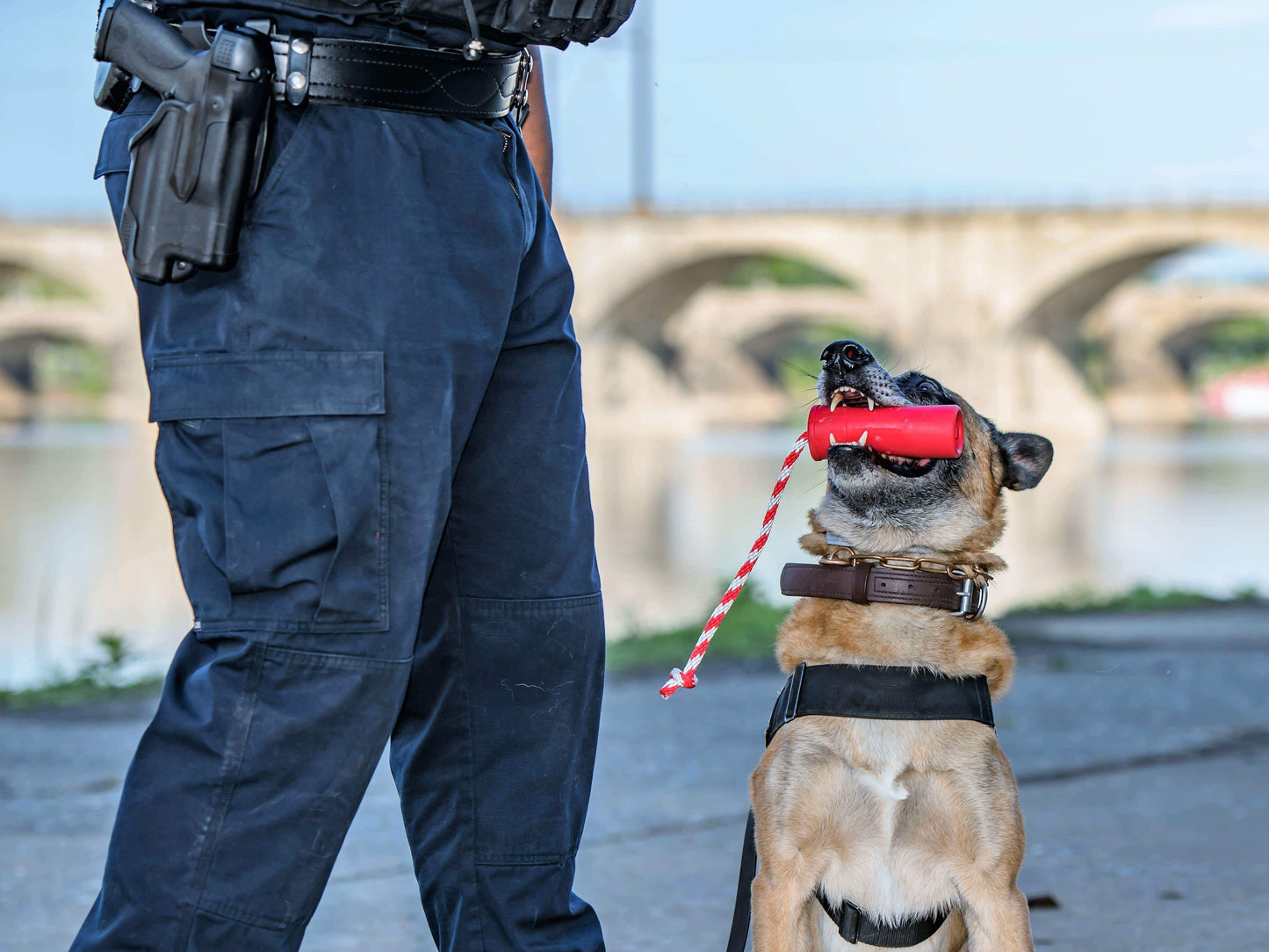 USA-K9 Firecracker Durable Rubber Floating Training Dummy - Large - Red - Skoutley Outdoors LLC