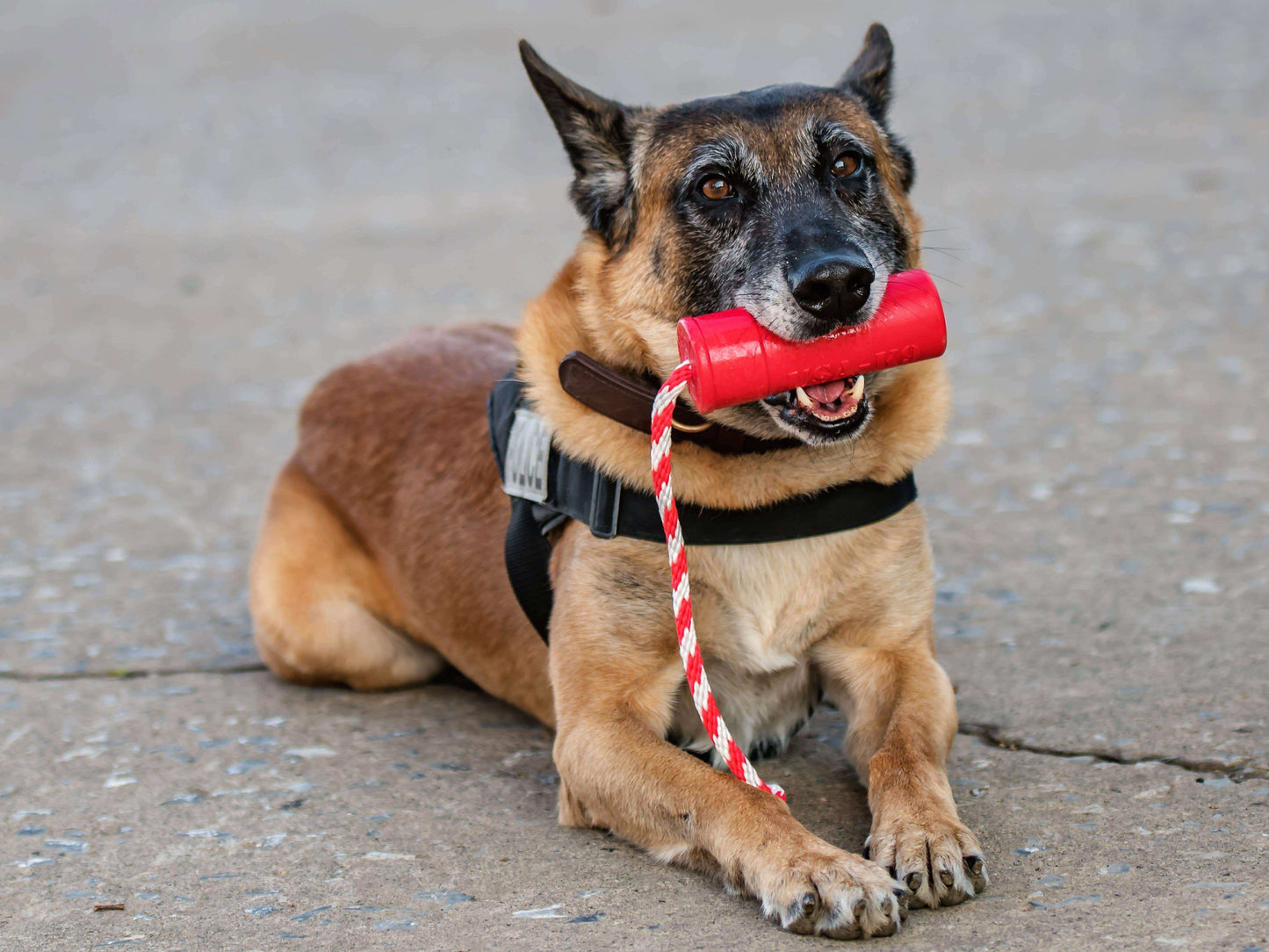 USA-K9 Firecracker Durable Rubber Floating Training Dummy - Large - Red - Skoutley Outdoors LLC